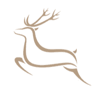 Company Page