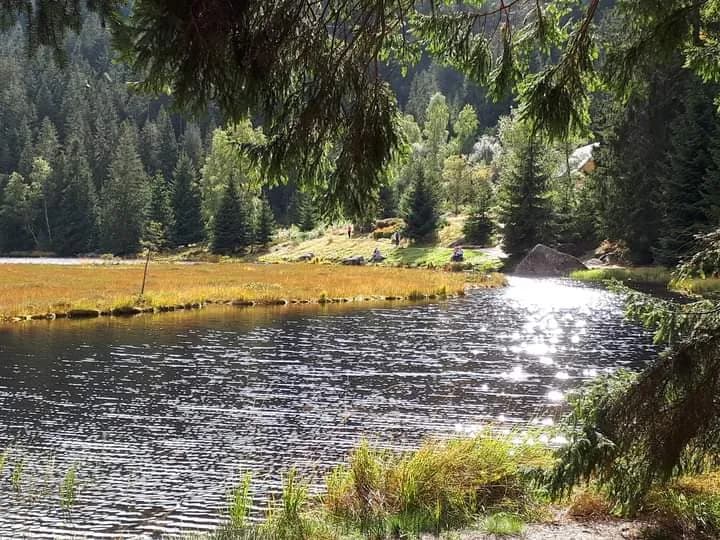 Nachhaltiger Urlaub in Niederbayern in traditionellen Chalets