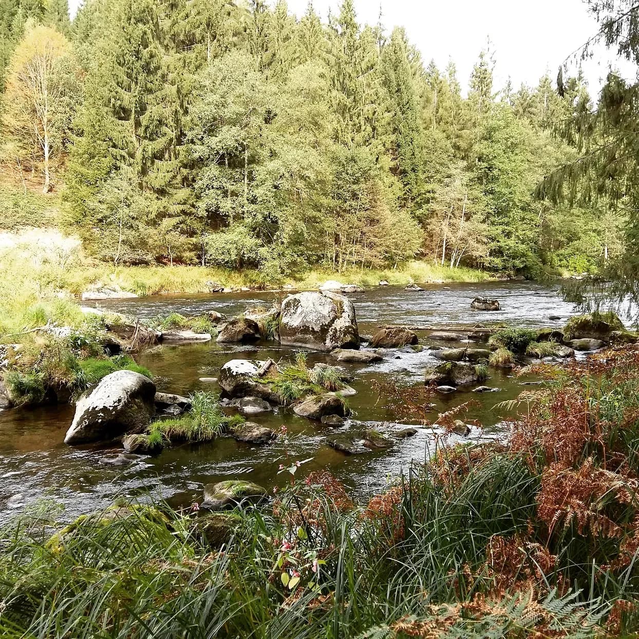 Wanderurlaub Bayerischer Wald