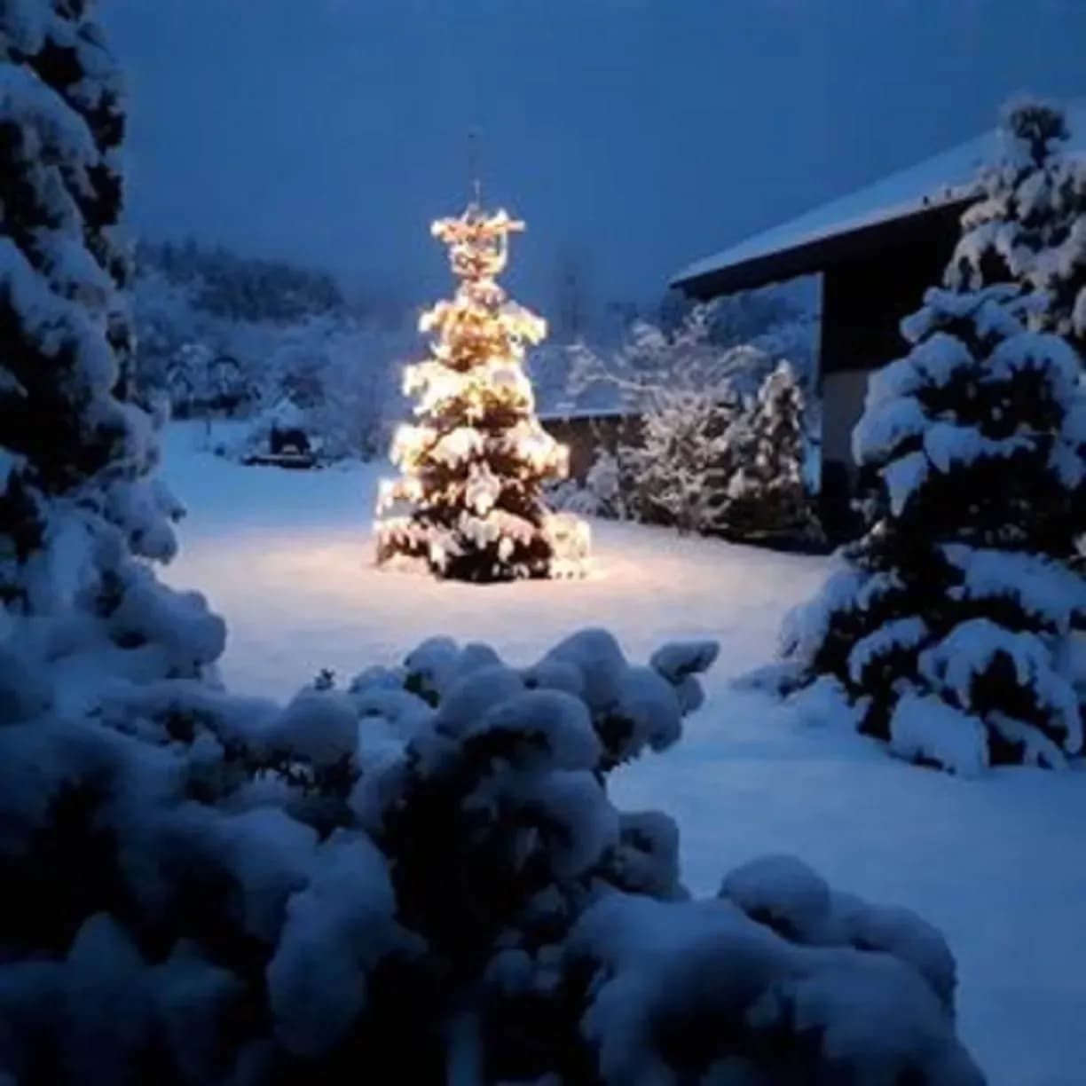 Weihnachen und Silvester im Chalet